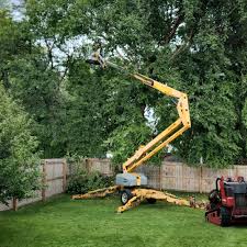 Best Tree Planting Services  in Holmes Beach, FL